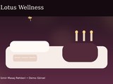 Lotus Wellness (Demo)